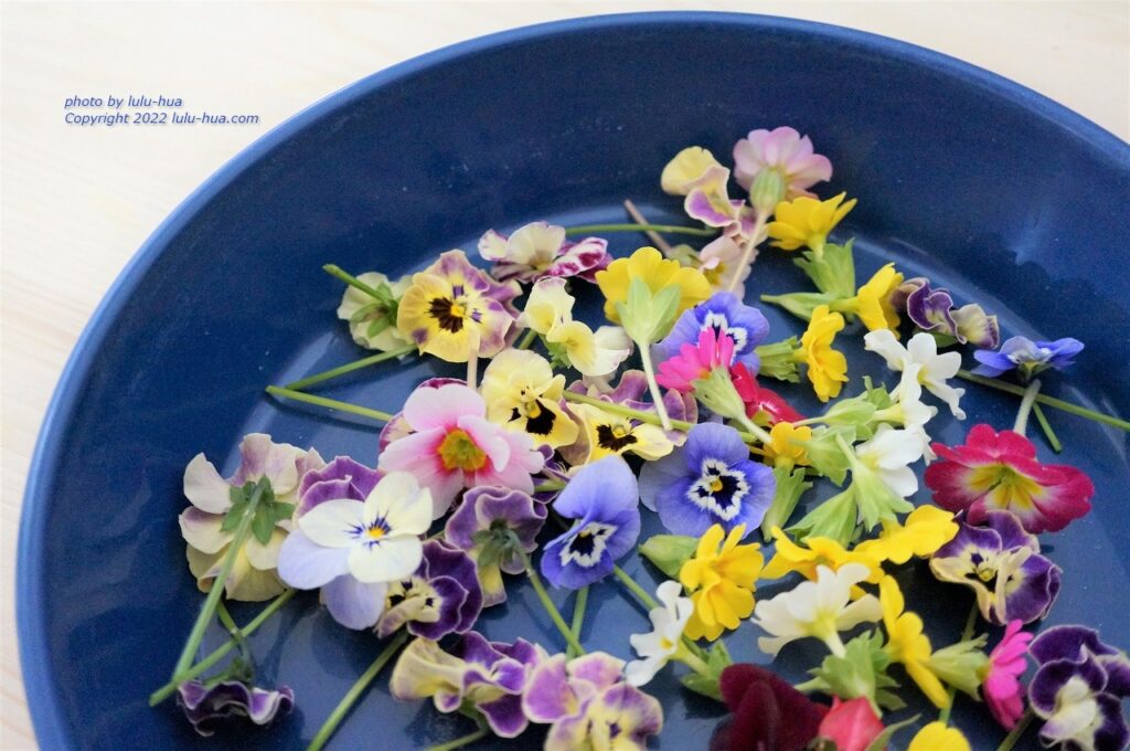 ビオラ ドライフラワーの作り方 シリカゲル ガーデニングの便利帳 ルルファ