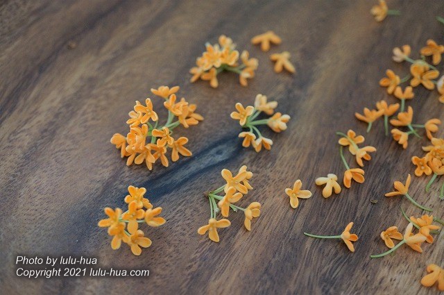 キンモクセイの房と小さい1輪の花の画像