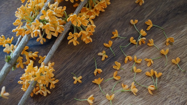 金木犀の花びらの画像