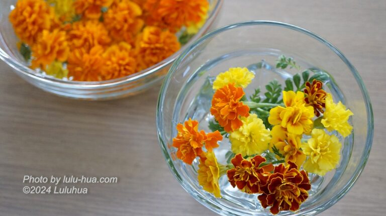 家でマリーゴールドの花手水を楽しんでいる様子の写真