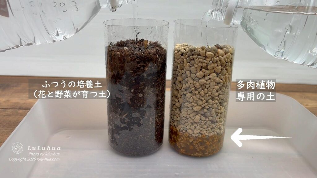 普通の土(花と野菜が育つ土)と、多肉植物専用の土を並べて、上から同時に水をかけている様子