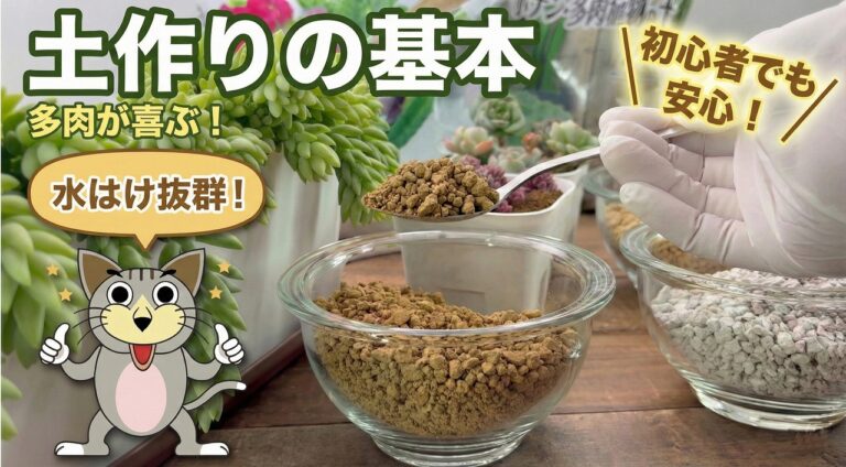 真ん中に赤玉土を入れたガラス容器。白い手袋をした手で、銀色のスプーンを持ち、土をひとさじ、すくっている様子。画面左側に猫のイラストが表示されており、「水はけ抜群！」という吹き出し。